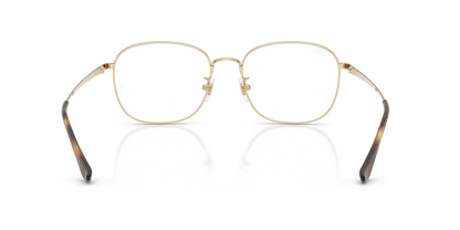 RAY-BAN RX6418D 2993 53