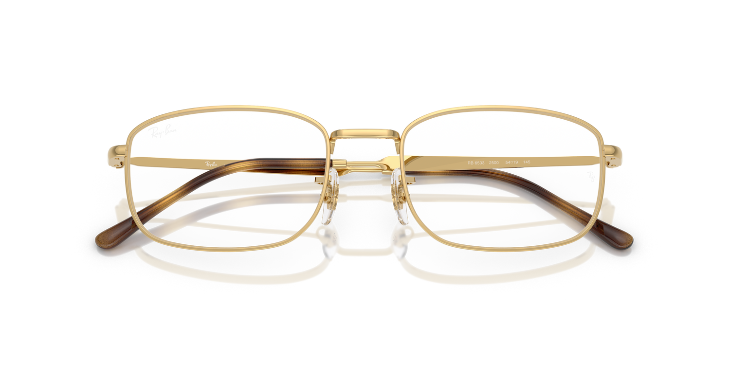 RAY-BAN RX6533 2500 54