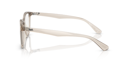 RAY-BAN RX7093D 8271 54