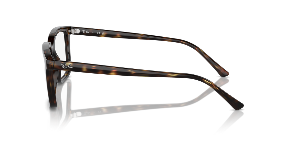 RAY-BAN RX7239 ALAIN 2012 54 - 16