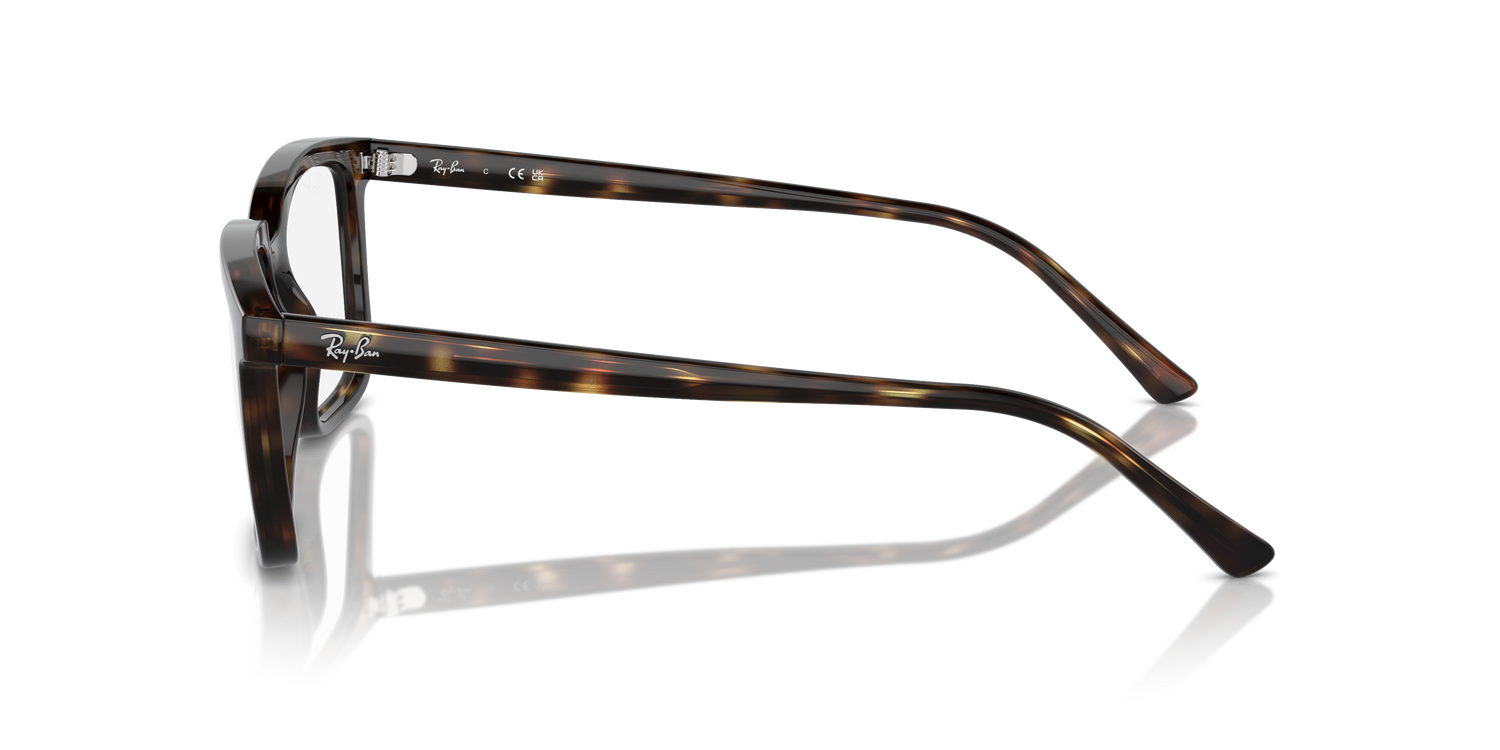 RAY-BAN RX7239 ALAIN 2012 52