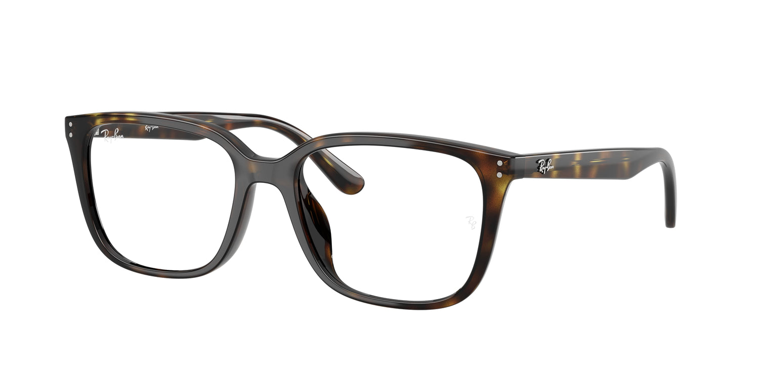 RAY-BAN RX7248D 2012 55