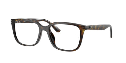 RAY-BAN RX7248D 2012 55