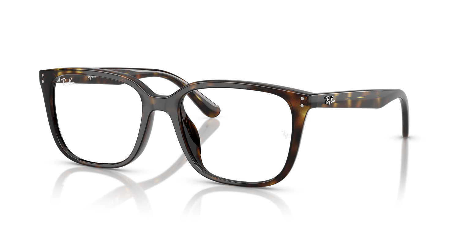 RAY-BAN RX7248D 2012 55