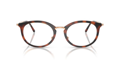 RAY-BAN RX7255 5687 53