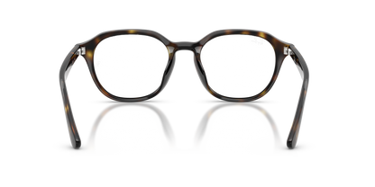 RAY-BAN RX7259D 2012 52