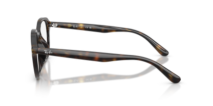 RAY-BAN RX7259D 2012 52