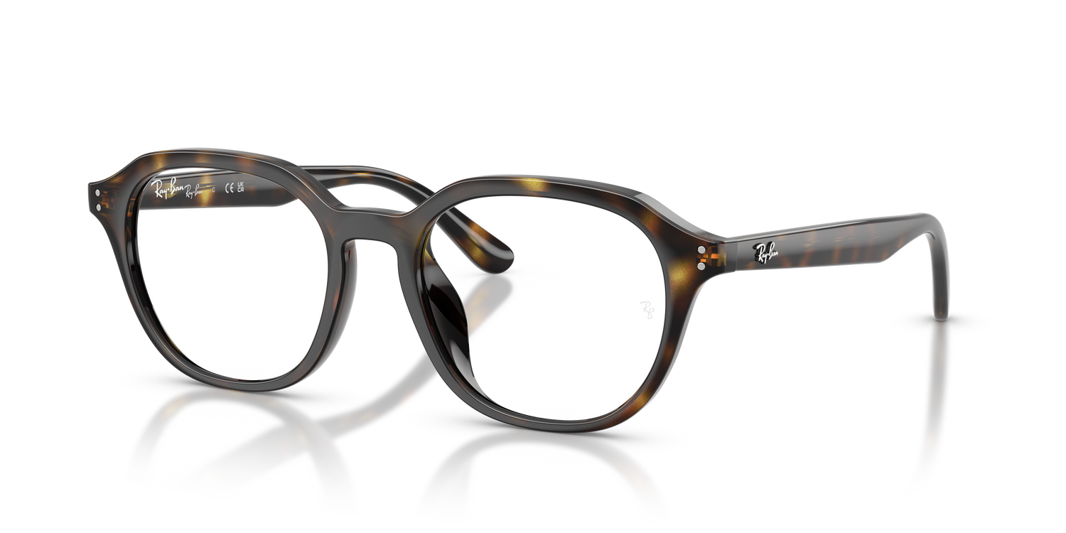 RAY-BAN RX7259D 2012 52