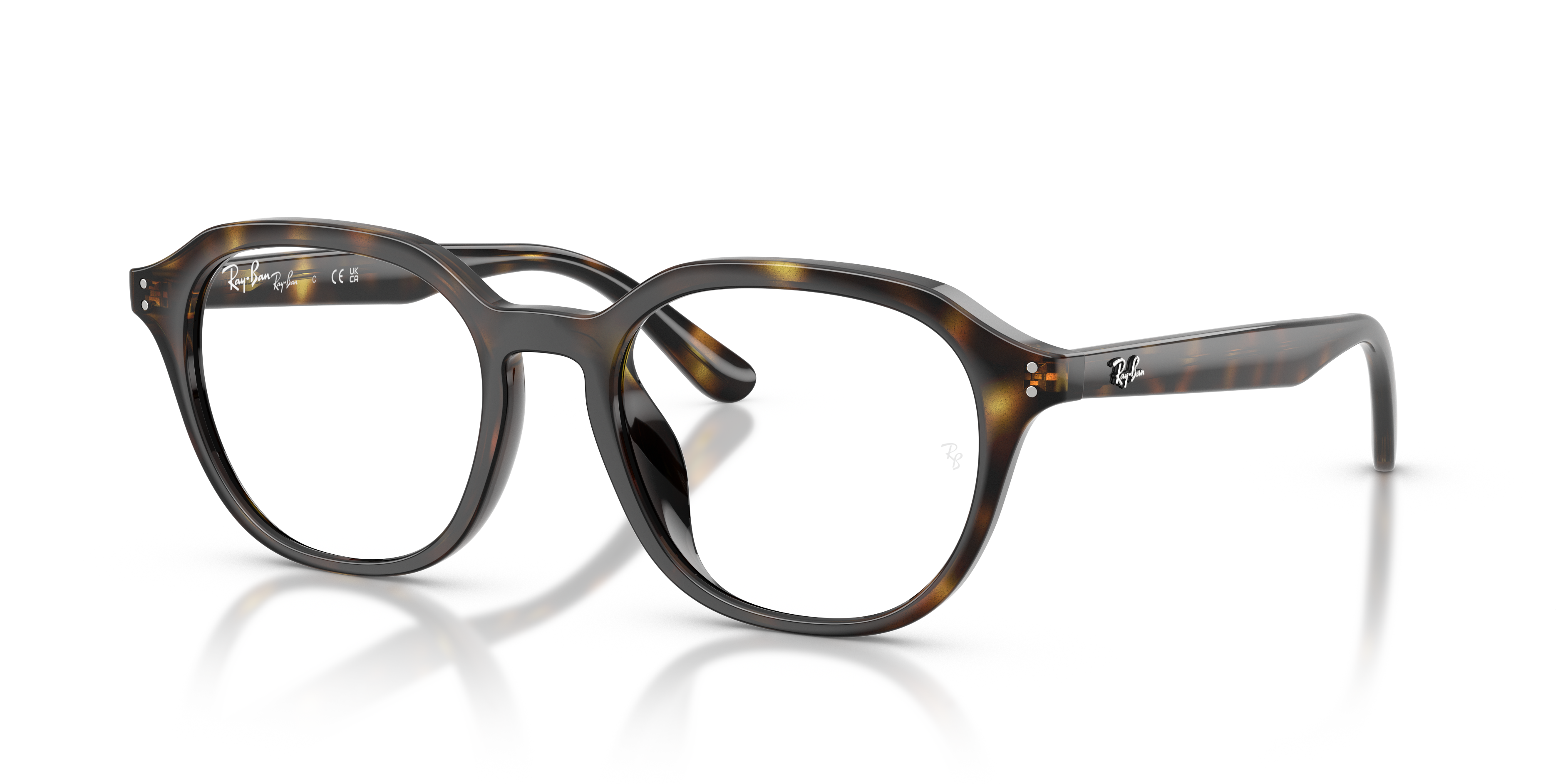 RAY-BAN RX7259D 2012 52