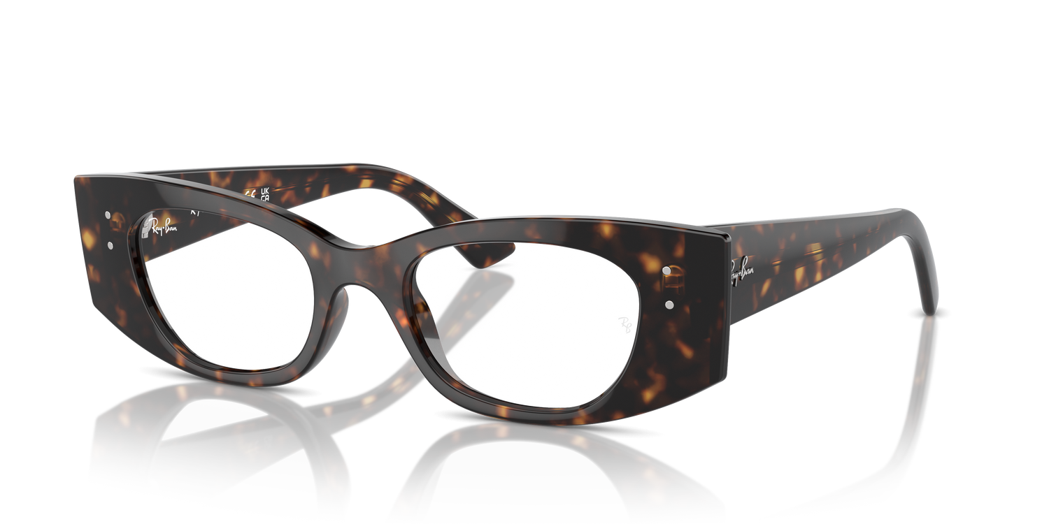 RAY-BAN RX7327 KAT 8320 50 - 9