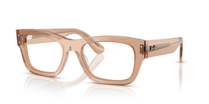 RAY-BAN RX7683V JOSEPH 8553 55