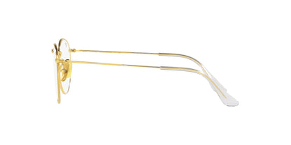 RAY-BAN RX8247V ROUND 1225 47