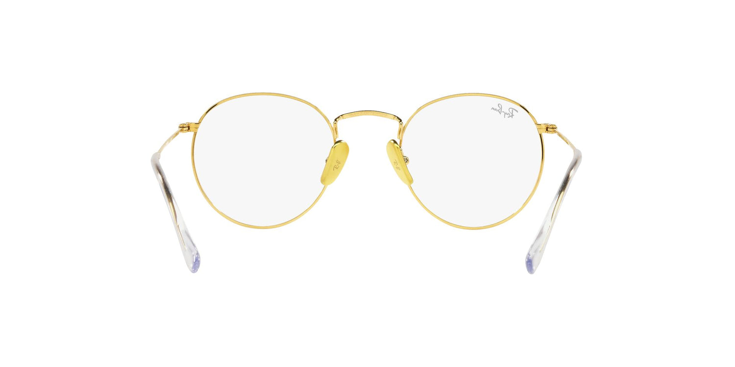 RAY-BAN RX8247V ROUND 1225 47