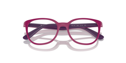 RAY-BAN JUNIOR RY1631 3933 47