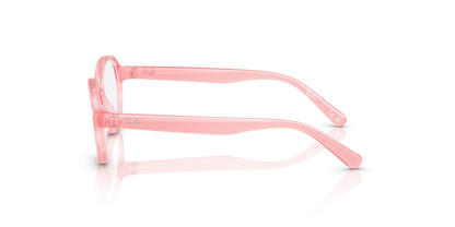 RAY-BAN JUNIOR RY1905 3982 42