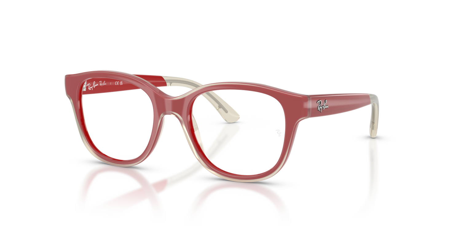 RAY-BAN JUNIOR RY1950 7204 46
