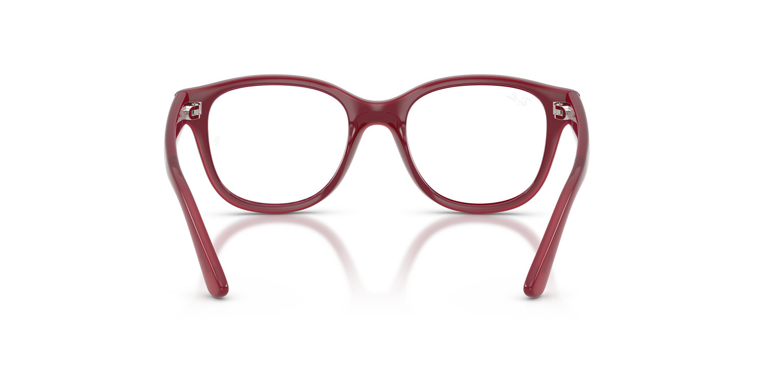 RAY-BAN JUNIOR RY1950 7207 46