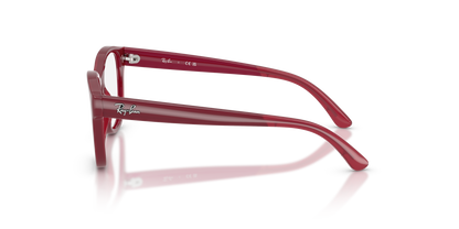 RAY-BAN JUNIOR RY1950 7207 46