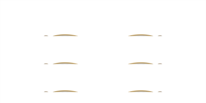 SWAROVSKI SK1004 4004 51