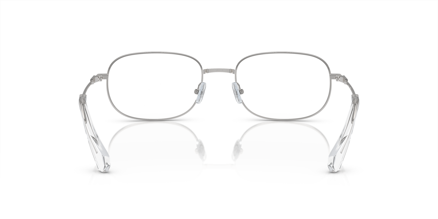 SWAROVSKI SK1005 4001 54