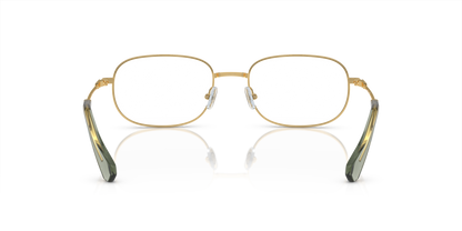 SWAROVSKI SK1005 4004 54