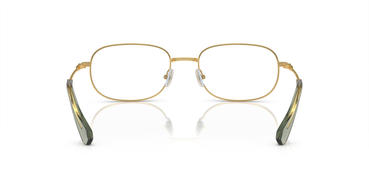 SWAROVSKI SK1005 4004 52