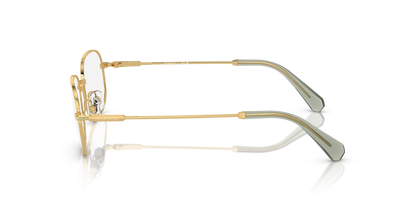 SWAROVSKI SK1005 4004 52