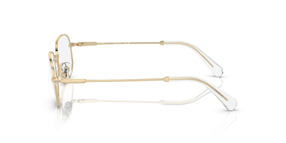 SWAROVSKI SK1005 4013 54