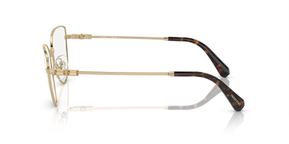 SWAROVSKI SK1007 4013 55