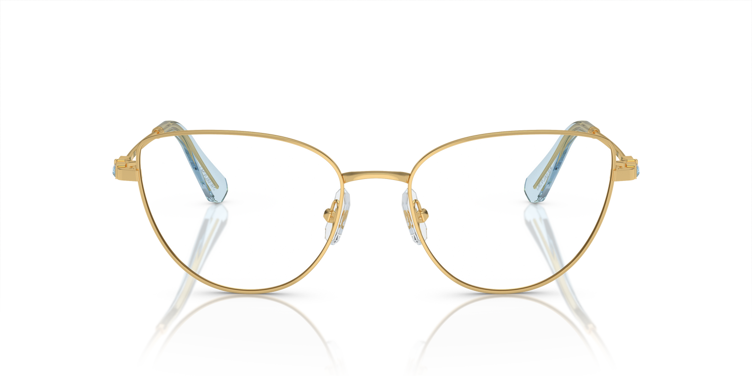 SWAROVSKI SK1007 4021 55