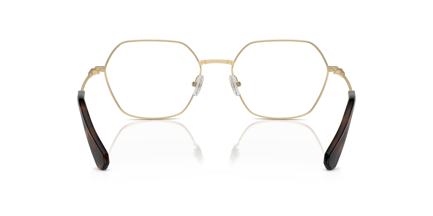 SWAROVSKI SK1011 4013 55