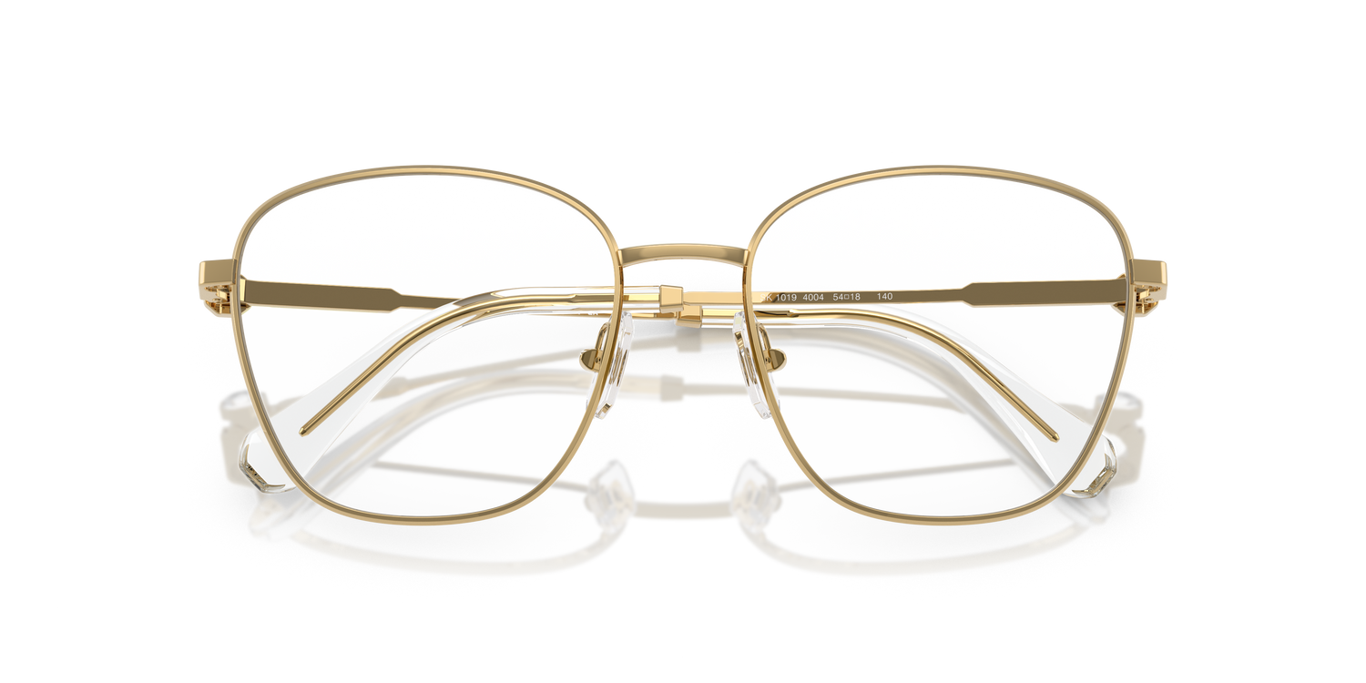 SWAROVSKI SK1019 4004 54