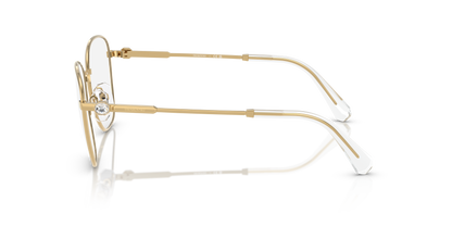 SWAROVSKI SK1019 4004 54