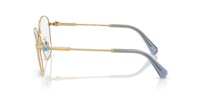 SWAROVSKI SK1019 4021 52