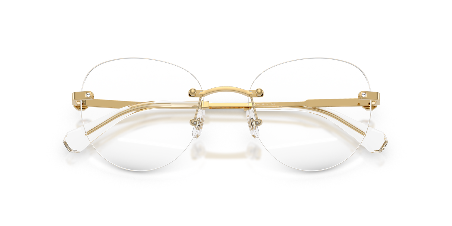 SWAROVSKI SK1021 4004 53