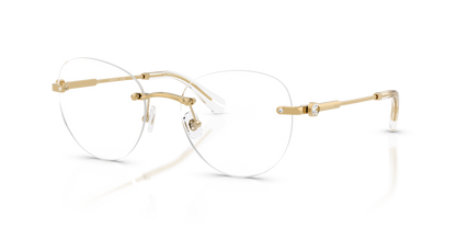 SWAROVSKI SK1021 4004 51