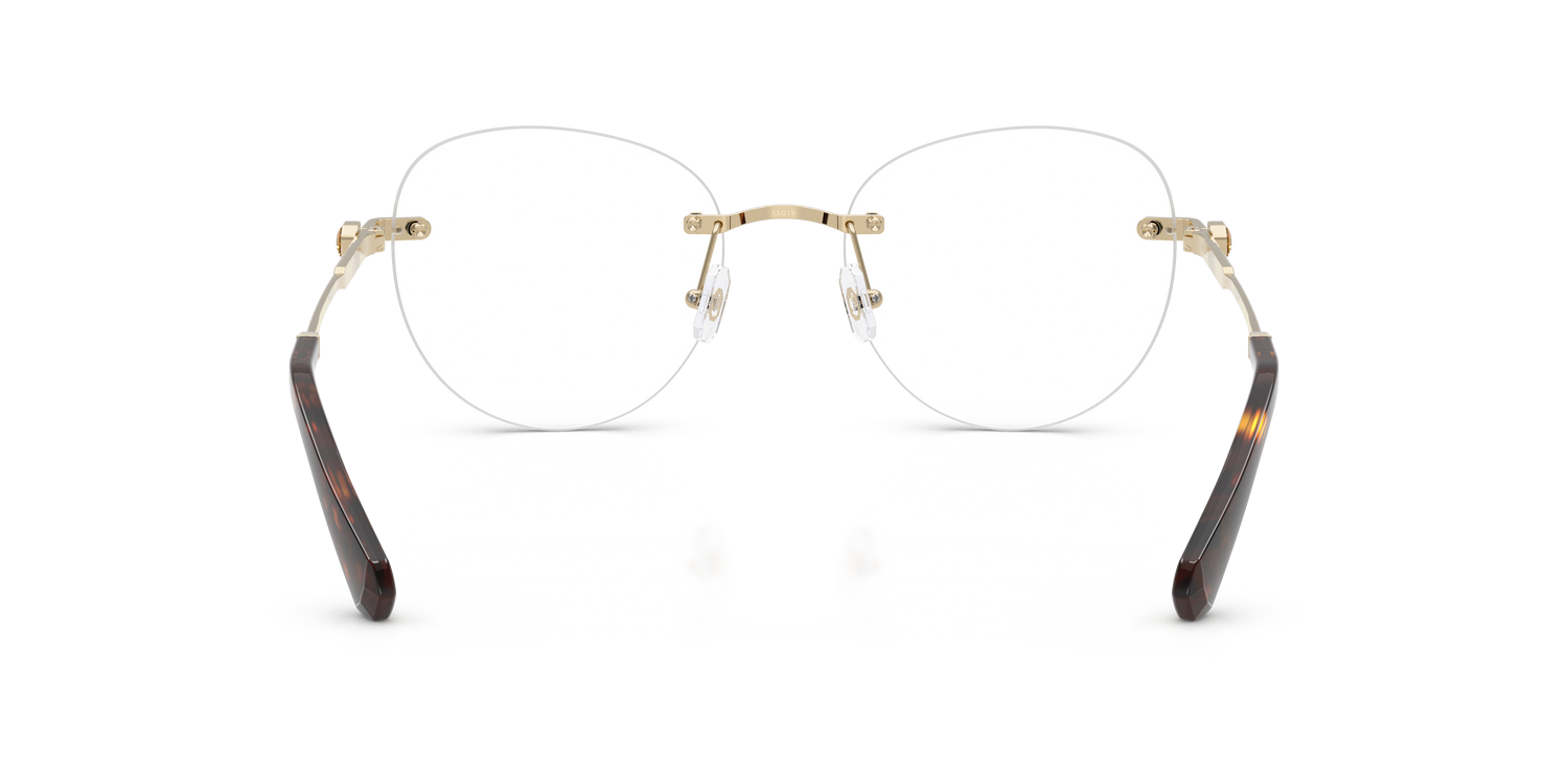 SWAROVSKI SK1021 4013 53