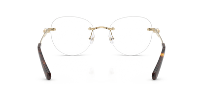 SWAROVSKI SK1021 4013 53