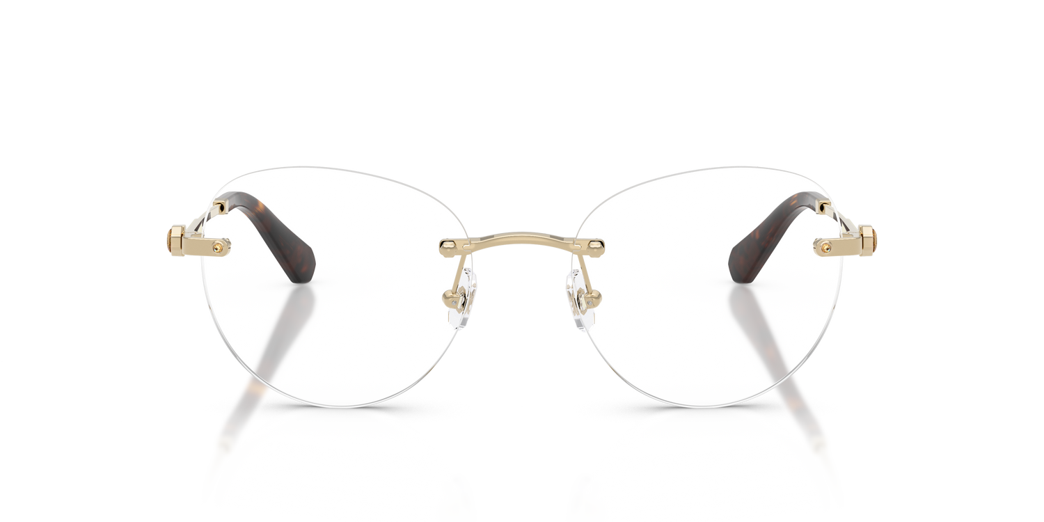 SWAROVSKI SK1021 4013 53