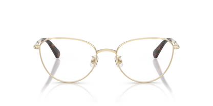 SWAROVSKI SK1029D 4013 54