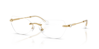 SWAROVSKI SK1031 4004 58