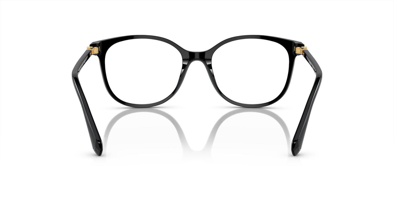 SWAROVSKI SK2002 1001 53