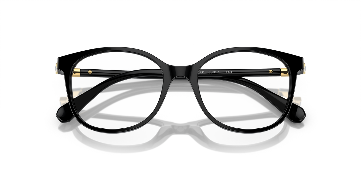 SWAROVSKI SK2002 1001 51