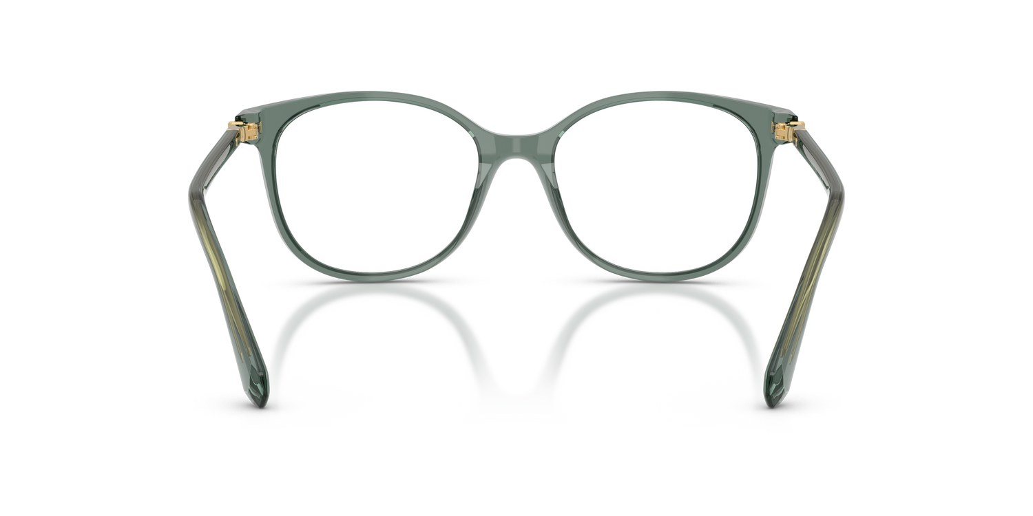 SWAROVSKI SK2002 1043 53