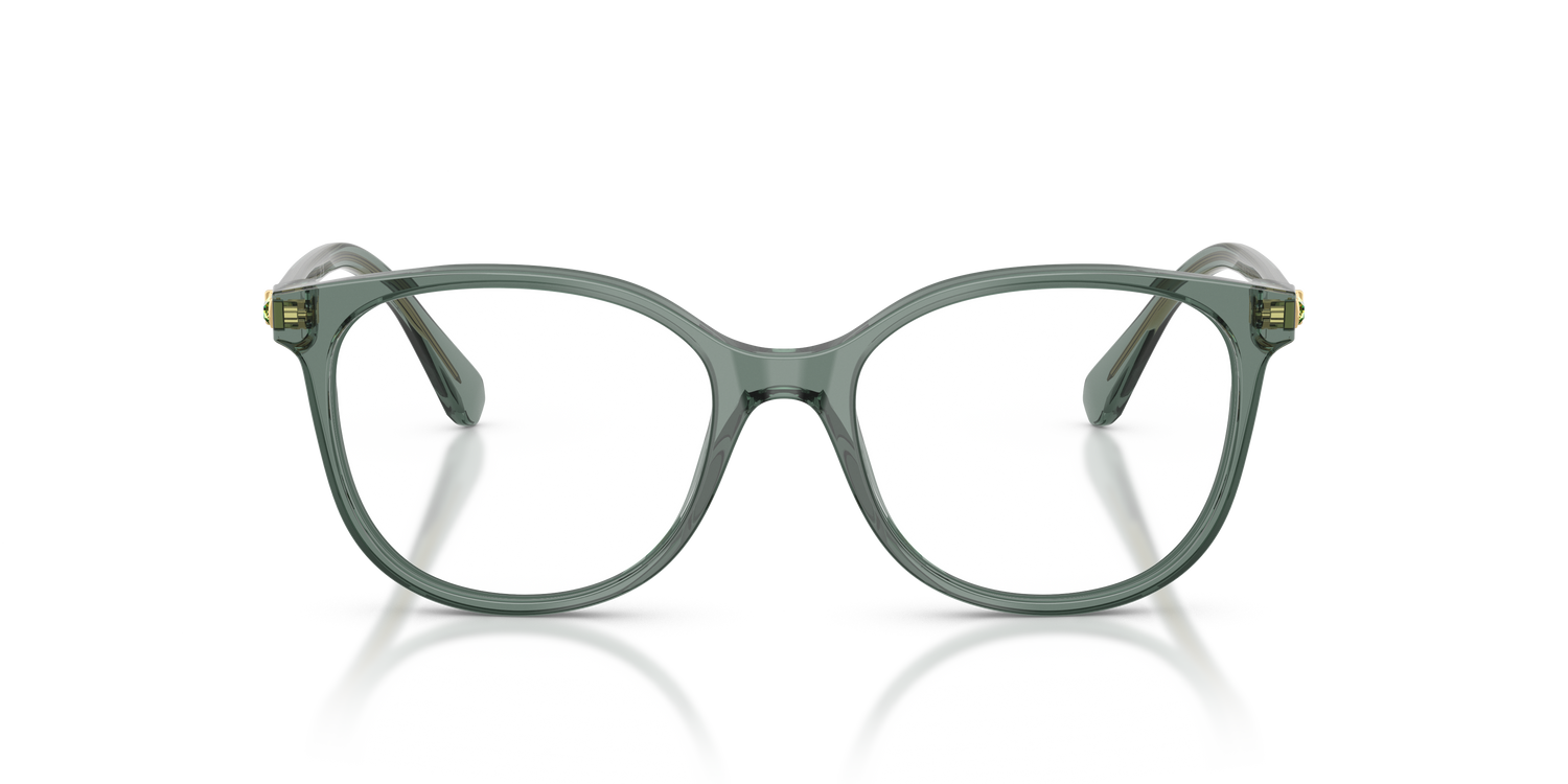 SWAROVSKI SK2002 1043 53