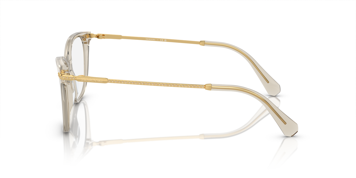 SWAROVSKI SK2010 3003 54