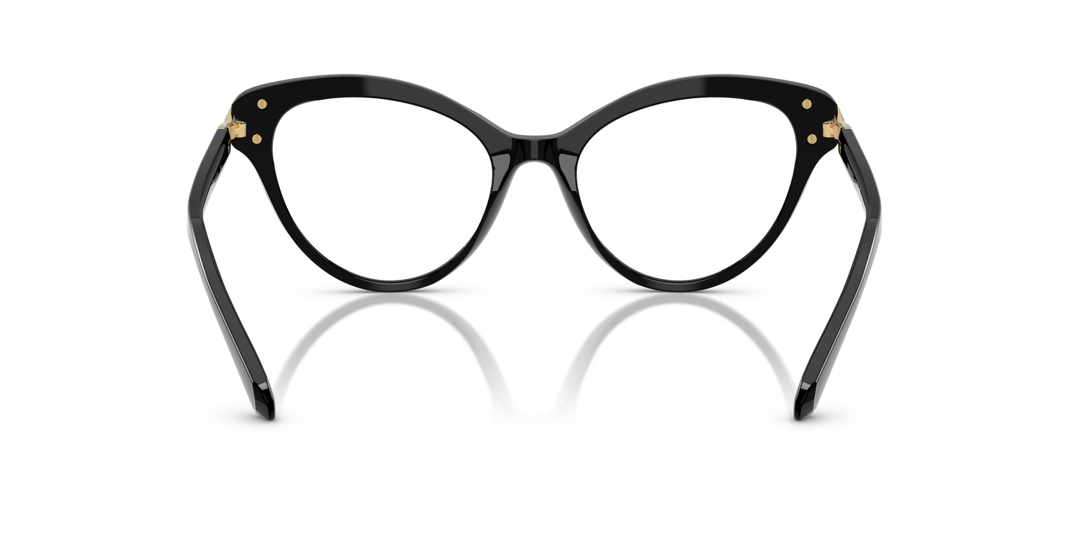 SWAROVSKI SK2030 1001 53