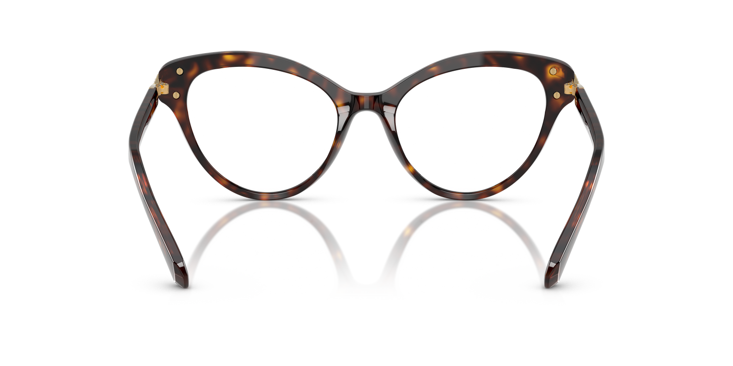 SWAROVSKI SK2030 1002 55