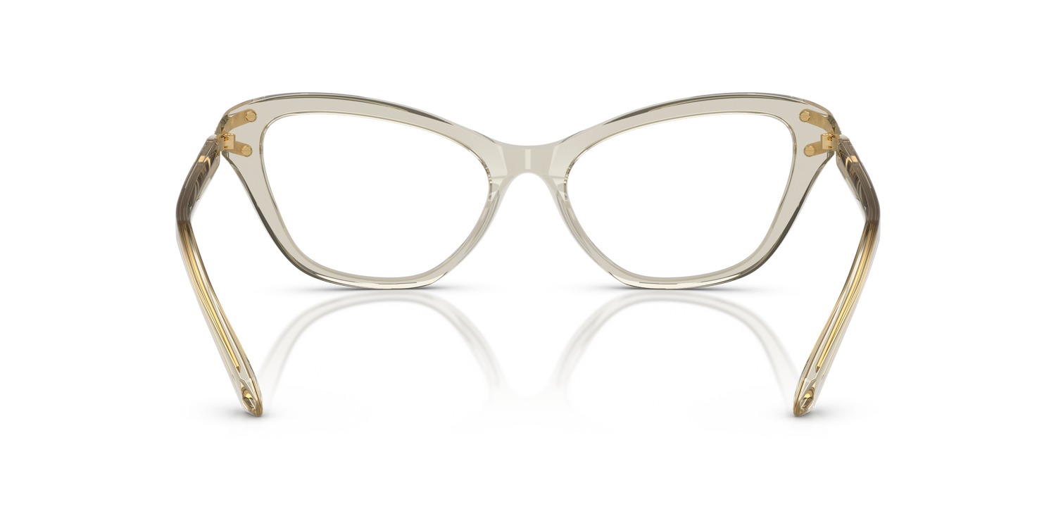 SWAROVSKI SK2031 3003 53