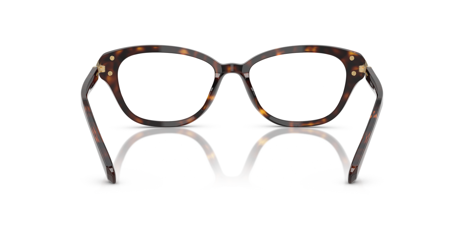 SWAROVSKI SK2032 1002 54